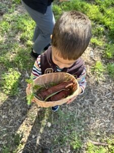 Ο κλέφτης των φύλλων