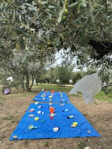 Το Μαγεμένο Δάσος